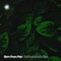 Flames_Born from Pain