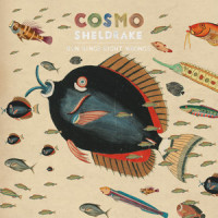 Run Rings Right Wrongs_Cosmo Sheldrake,Bucks Music Publishing