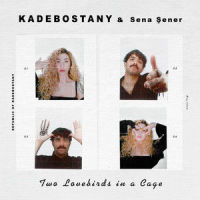 Two Lovebirds in a Cage_Kadebostany,Sena Sener