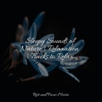 Easy Breeze_Massage Tribe,Study Concentration,Spa