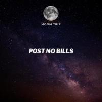 Post No Bills_Moon Trip,Sean Wilson
