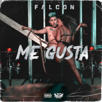 Me Gusta_Falcon