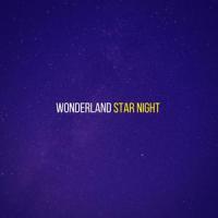 Star Night_Wonderland