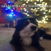 Aussie Jingle Bells_James Patrick