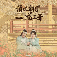 飞去你心里_叶炫清