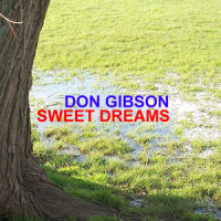 Ah Ha_Don Gibson