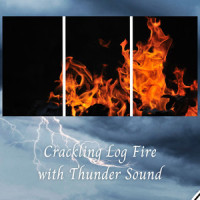 Fire Sizzle_Thunderstorms,Music For Your Dog,Natural Baby Sleep Aid