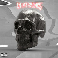 In My Bones_GAWNE,Luke Gawne,RittZ,Atlus