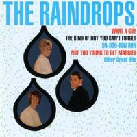 I Won't Cry_The Raindrops