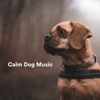 Morning Breeze_Sleepy Dogs,Music for Calming Dogs