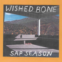 Hold Me_Wished Bone