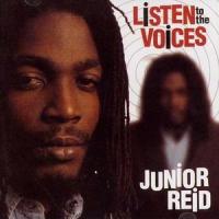 Afraid A Nuh Monster_Junior Reid