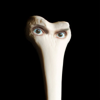 Sin Dones_Juana Molina