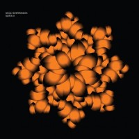 Divena_Skúli Sverrisson,Ólöf Arnalds,Amedeo,Davíð Þór