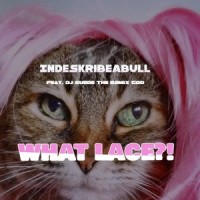 What Lace_IndesKribeaBULL,DJ Suede The Remix God