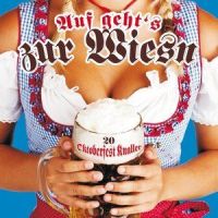 Ein Stern (der deinen Namen trägt)_Nik P.,DJ Otzi