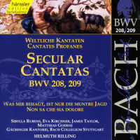 Duet: Entzucket uns beide (Soprano, Tenor)_Sibylla Rubens,Eva Kirchner,James Taylor,Stuttgart Bach Collegium