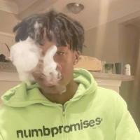 fake tearz_tommy ice