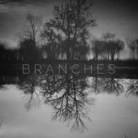 slow rain of dust_Branches