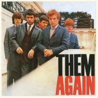 Something You Got(Mono Version)_Them,Van Morrison