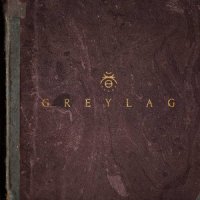 Black Sky_Greylag