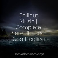 Soaring Spirit_Sleepy Times,Bath Spa Relaxing Music Zone,Meditative Music Guru