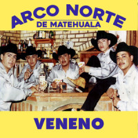 Lamento de Amor_Arco Norte de Matehuala,Rigo Tovar