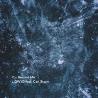 Don't Break My Heart(feat. Carl Storm)_LiQWYD,Carl Storm