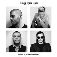 Black Bird Cloud_Birdy Nam Nam