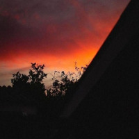 Say Goodbye_SNØW,Monty Datta