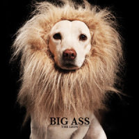 บินเข้ากองไฟ_Big Ass