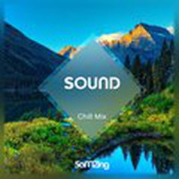 SOUND(VIP)_华语群星