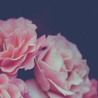 Bad Blood_Kina Grannis,Clara C