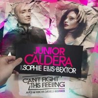 Can't Fight This Feeling (Orig_Junior Caldera