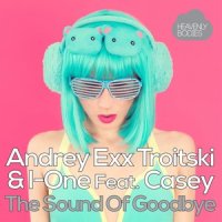 The Sound of Goodbye_Andrey Exx,Troitski,I-One,Casey