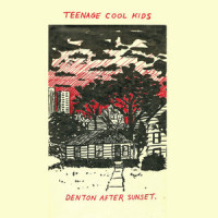 Landlocked State_Teenage Cool Kids