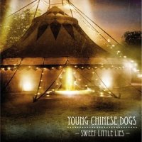 Sweet Little Lies_Young Chinese Dogs