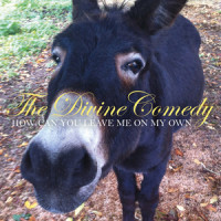 How Can You Leave Me on My Own_The Divine Comedy