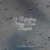 Thunder Rain_Sounds of Nature White Noise for Mindfulness Meditation and Relaxation,Relaxamento,Sleepy Times