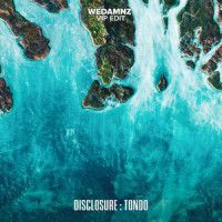 Tondo (WeDamnz VIP Edit)_WeDamnz,Disclosure