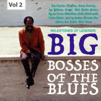 I Feel So Bad_Chuck Willis,Leroy Kirkland Orchestra