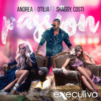 Passion(XTD Edit)_Otilia,Shaggy,Costi