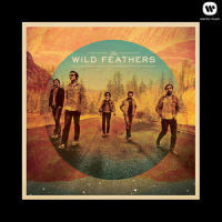 If You Don't Love Me_The Wild Feathers
