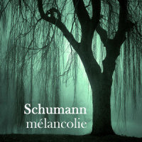 Schumann: Davidsbündlertänze, Op. 6 - 17. Wie aus der Ferne_內田光子