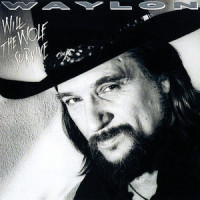 They Ain't Got 'Em All_Waylon Jennings