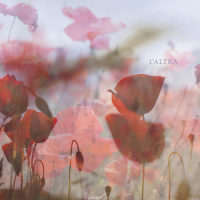 A Delicate Flower_L'Altra