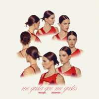 me gusta que me gustes_Nicole Zignago