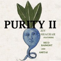 Purity II_Ziv Shachar,Nico Raimont,Amitai