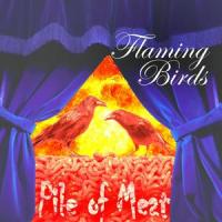 Why I am Waiting_Flaming Birds,Eric Douglas