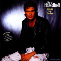 Avignon_David Hasselhoff
